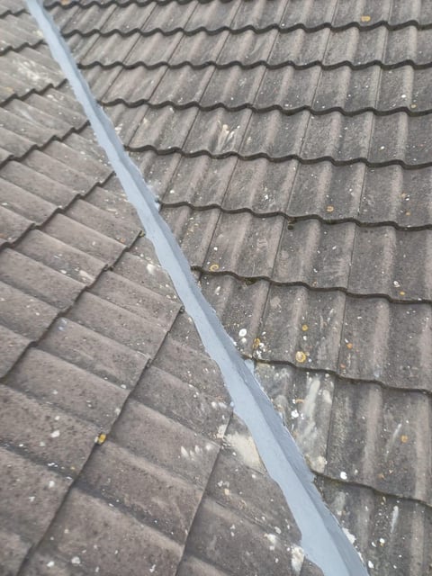 Close-up of gray asphalt roof shingles with blue trim or flashing separating two roof sections, showing moss or algae growth