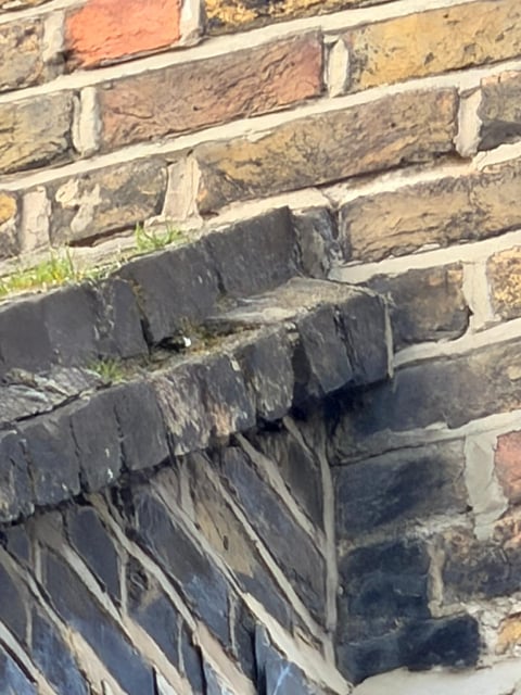 Close-up of weathered stone wall with layered tan and black bricks, mortar joints, and moss growth in gaps