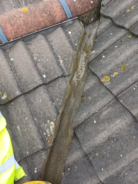 Debris line running down the center of dark roof tiles with moss and lichen growth, inspection tape visible