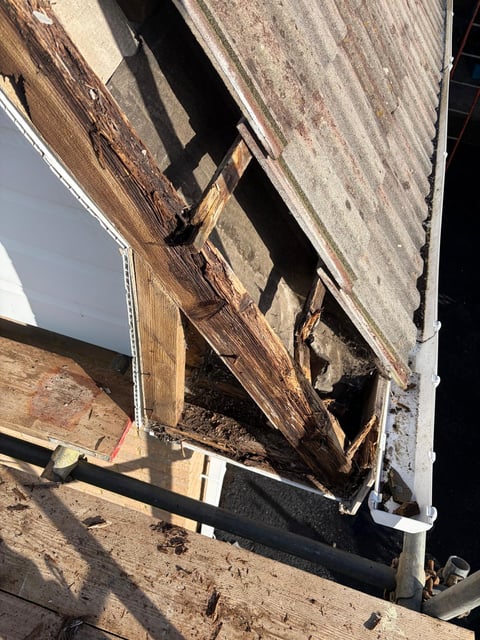 Close-up of deteriorated wooden building trim with rot damage and black mold growth along exterior edge